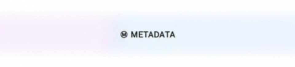 METADATA